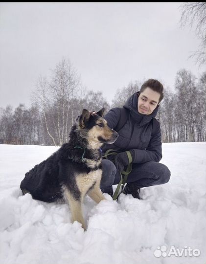 Красотка Роза хочет домой