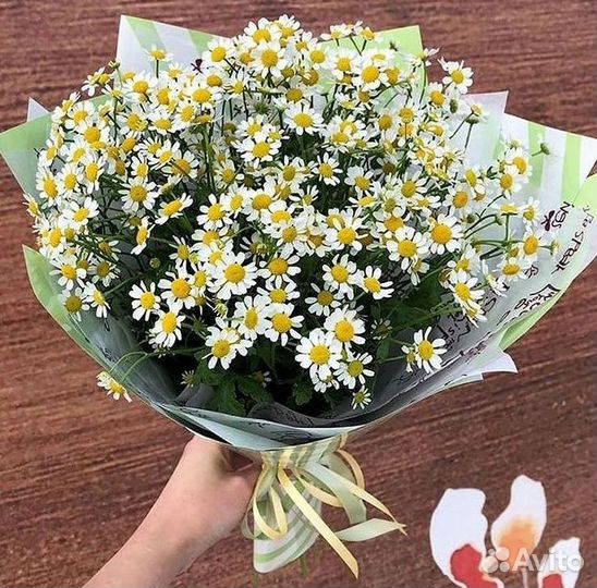 Цветы ромашки