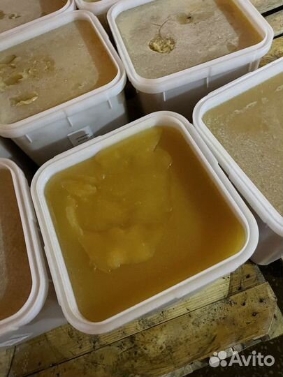 Эспарцетовый свежий мед оптом