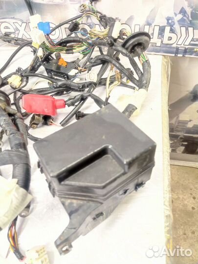 Проводка подкапотная FAW V5