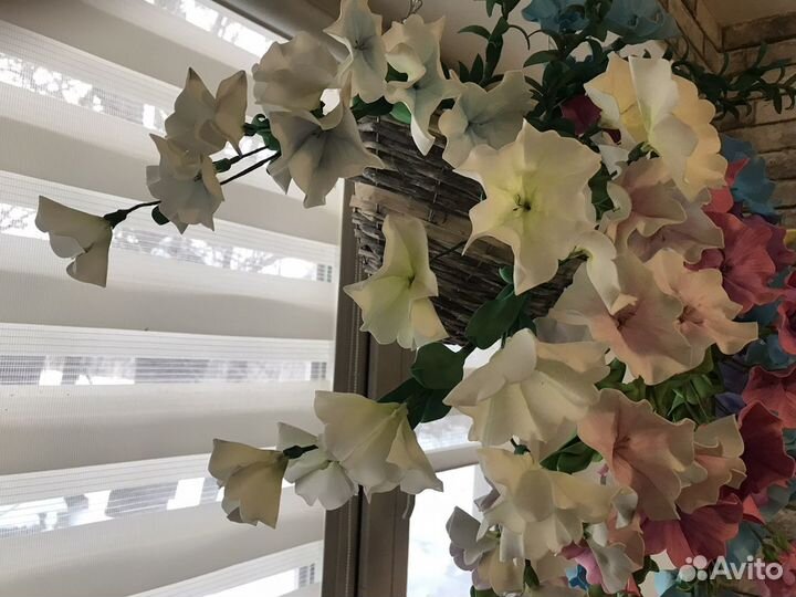 Петуния в кашпо