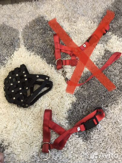 Амуниция для собак