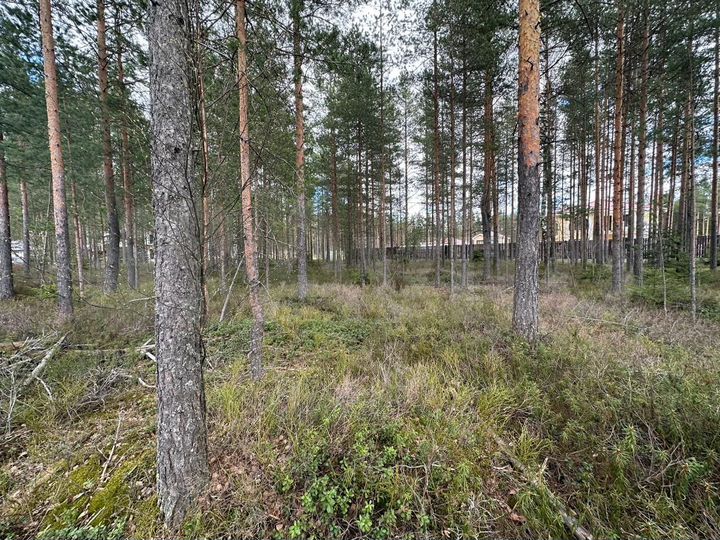 Участок 22 сот. (СНТ, ДНП)