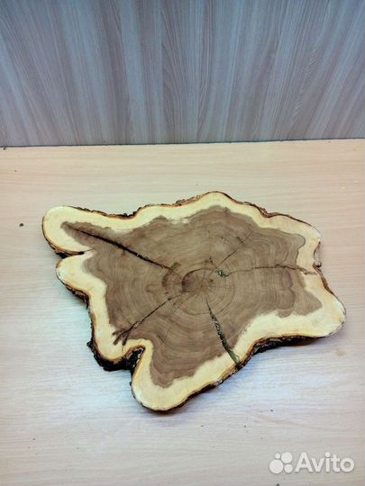 Спилы дерева