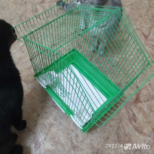 Клетка для попугая