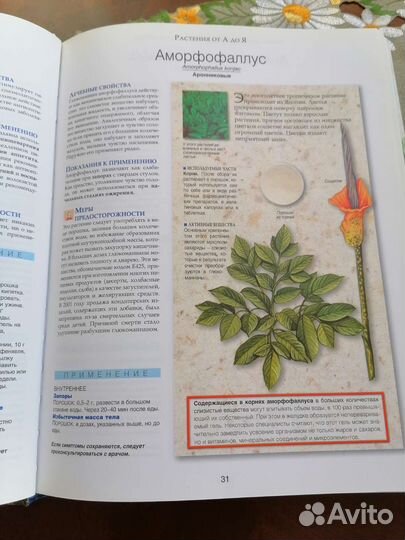 Книга. энциклопедия лекарственных растений