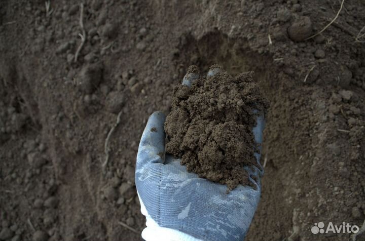 Плодородный грунт