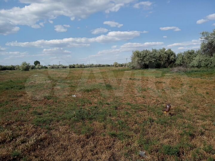 Участок 8 сот. (ИЖС)