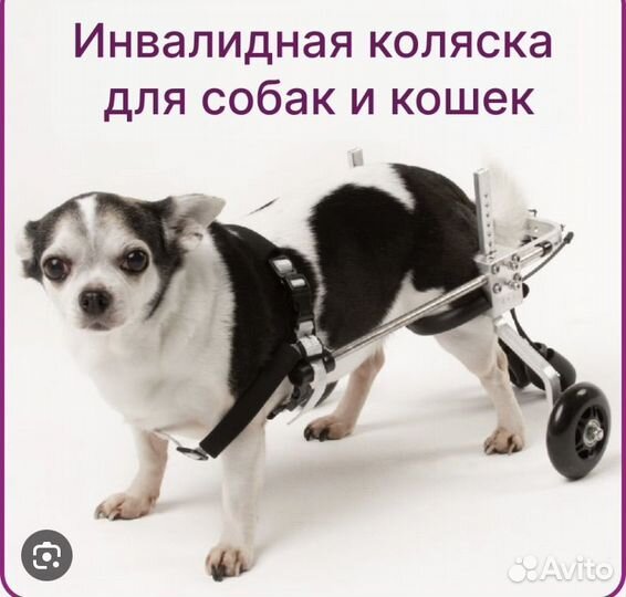 Инвалидная коляска для кошек/собак новая