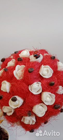 Красно-белый топиарий