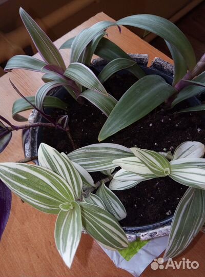 Кашпо ручной работы