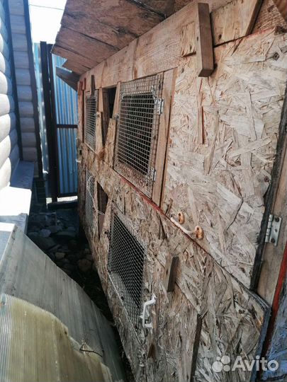 Клетка для грызунов очень большая