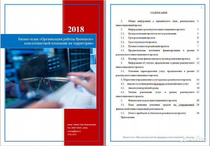 Бизнес-планы, фин. модели, тэо