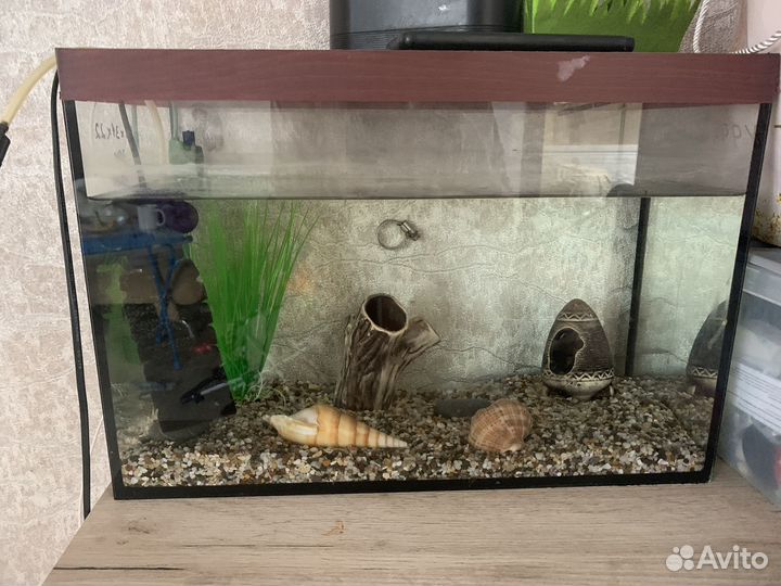 Аквариум