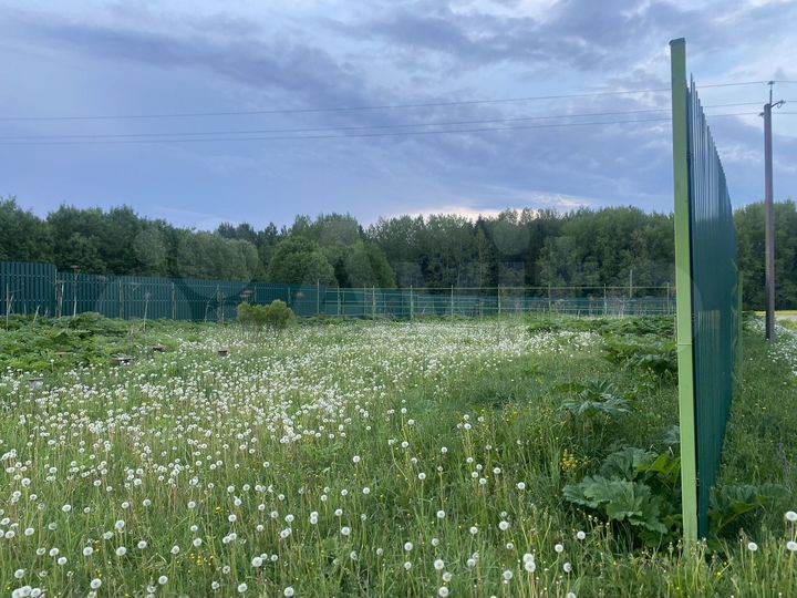 Участок 25 сот. (ИЖС)