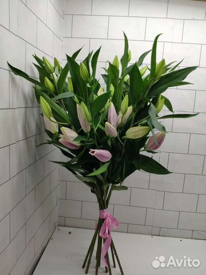 Роза хутор красная поляна букеты розы