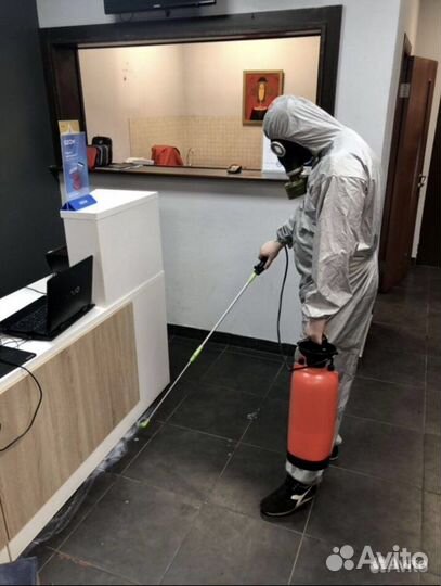 Дезинфекция клопов тараканов крыс запахов