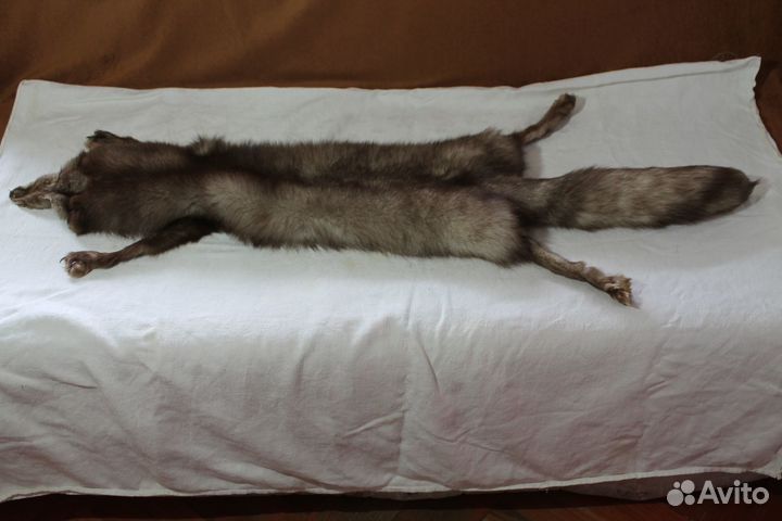 Горжетка из песца