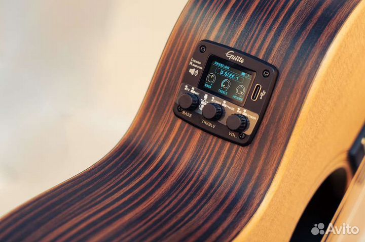 Трансакустические звукосниматели Guitto GGP-04