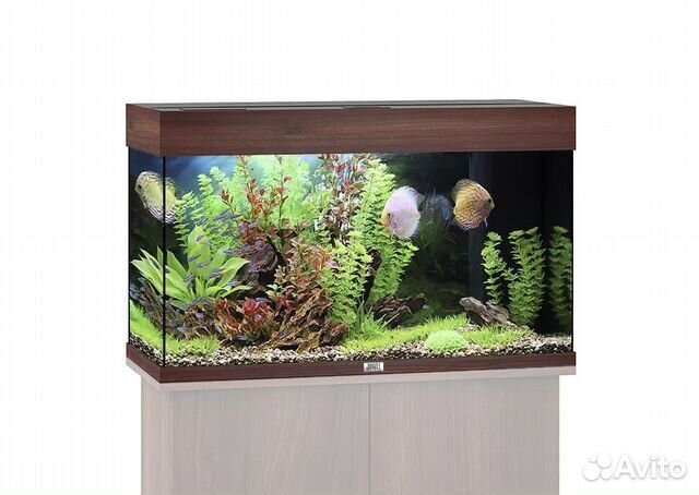 Аквариум Juwel Rio 125 LED (темное дерево)
