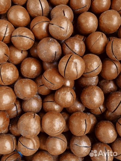 Орех макадамия