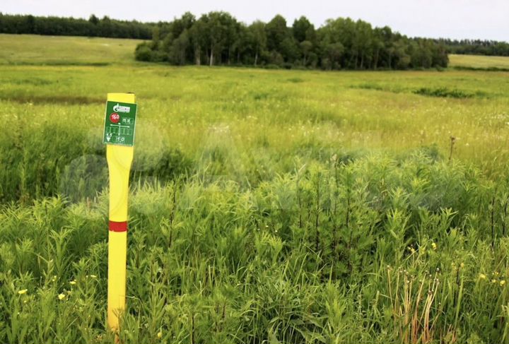 Участок 12,5 сот. (СНТ, ДНП)