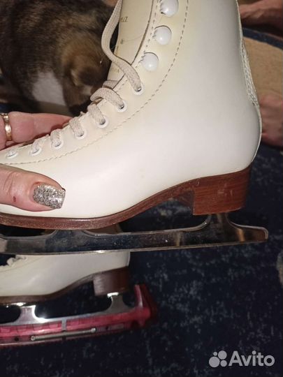 Детские коньки Wifa