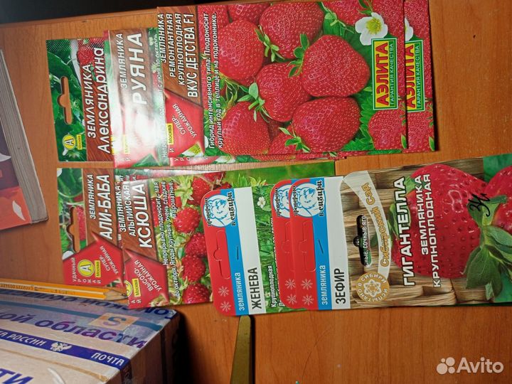 Семена земляники