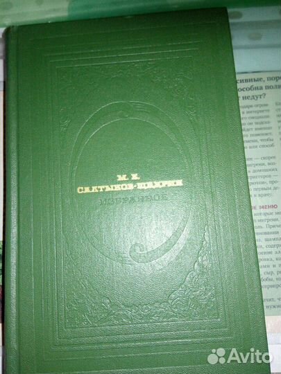 Салтыков-Щедрин