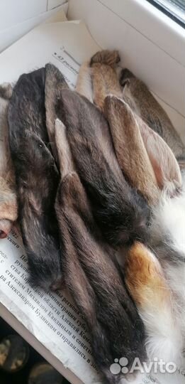 Уши, лапки, хвостики кролика для собак