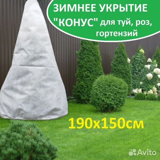 Зимнее укрытие для туй роз из укрывного материала