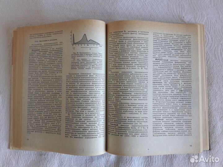 Патологическая физиология Адо Новицкий