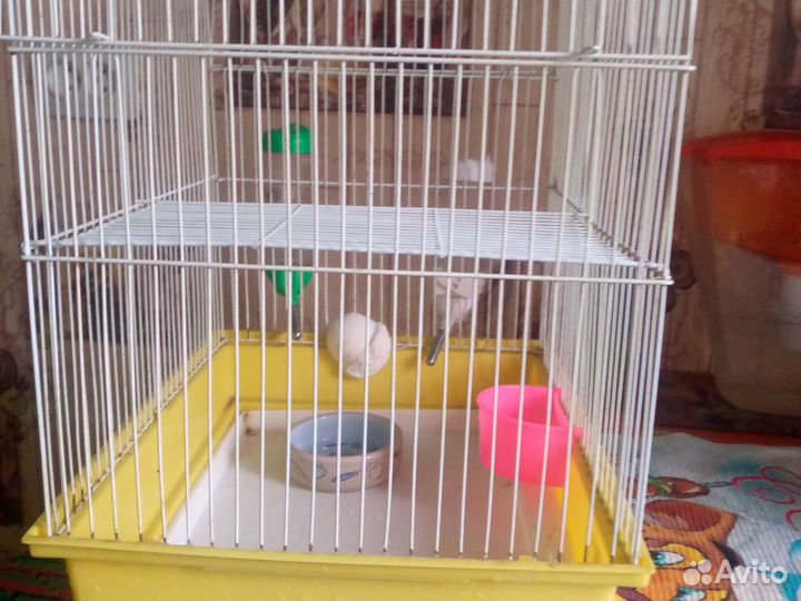 Клетка для грызунов