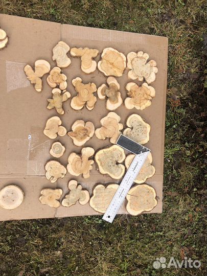 Набор спилов для творчества