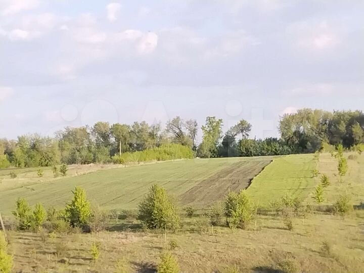 Участок 80 сот. (СНТ, ДНП)