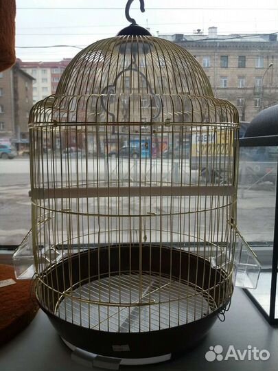 Волнистые попугаи и клетки