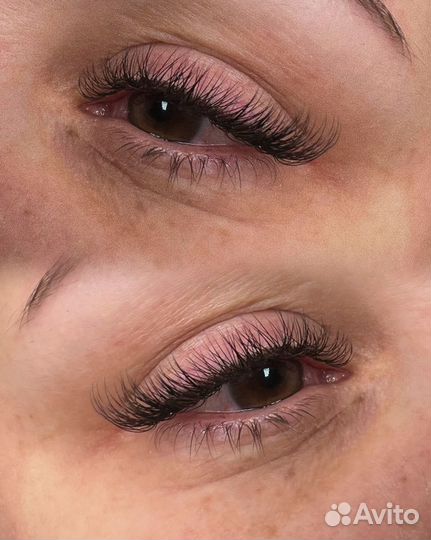 Lash Oksana d