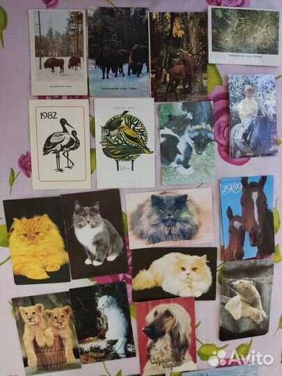 Календарики карманные, животный мир