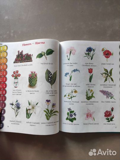 Английский язык для детей