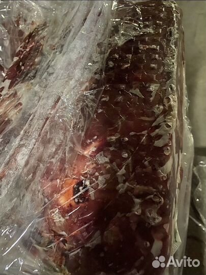 Мясо говядина для собак