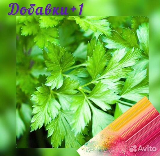 Петрушка сушенная