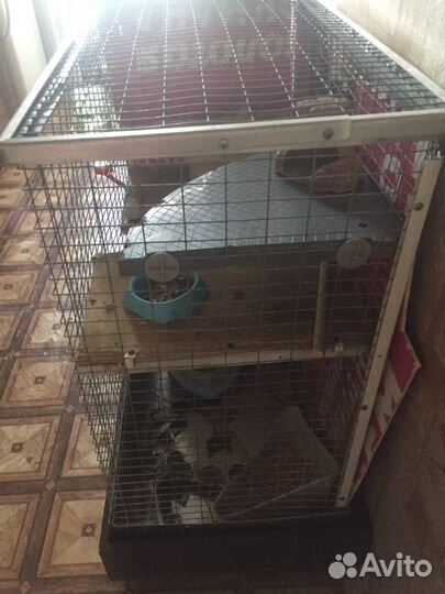 Клетка для шиншилл и крупных грызунов