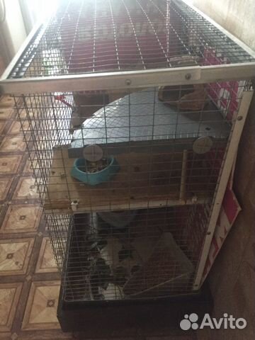 Клетка для шиншилл и крупных грызунов