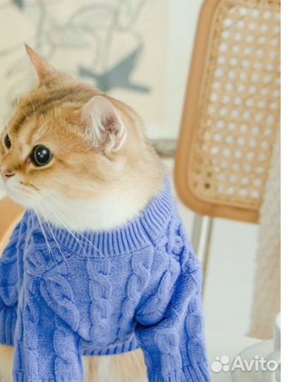 Свитер вязаный новый для мелких пород
