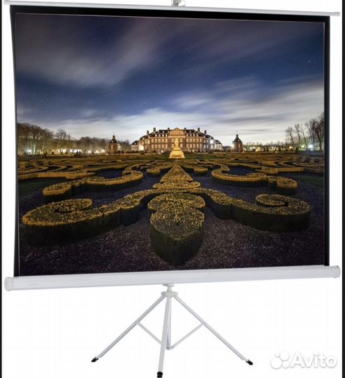 Экран для проектора dexp TM-70 99(251см)