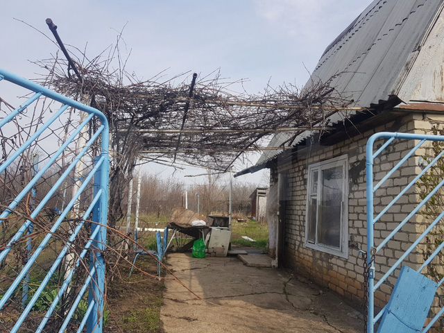 Балаково объявления дача. Дачи пески. Дачи гэс балаково. Пески балаково. Балаково объявления дача.