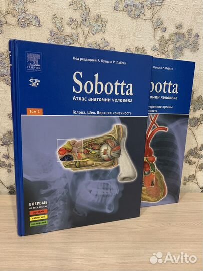 Sobotta Атлас анатомии человека