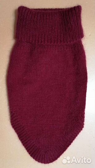 Шарф-манишка, бактусы