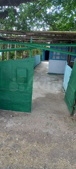 Дом 58 м² на участке 13 сот.