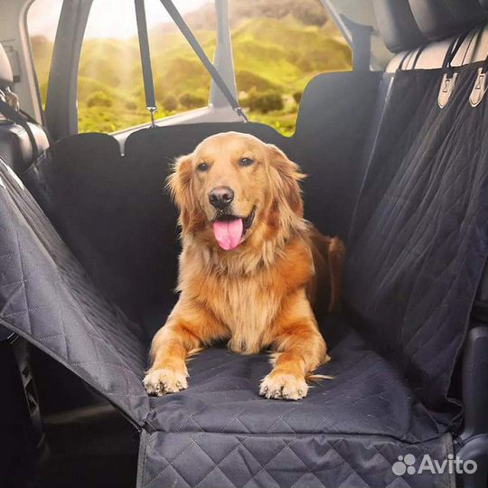 Перевозка животных по россии зоотакси